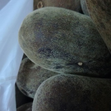 化橘红化州人工种植干货