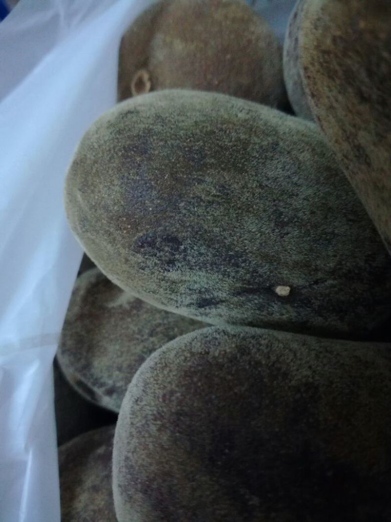 化橘红化州人工种植干货