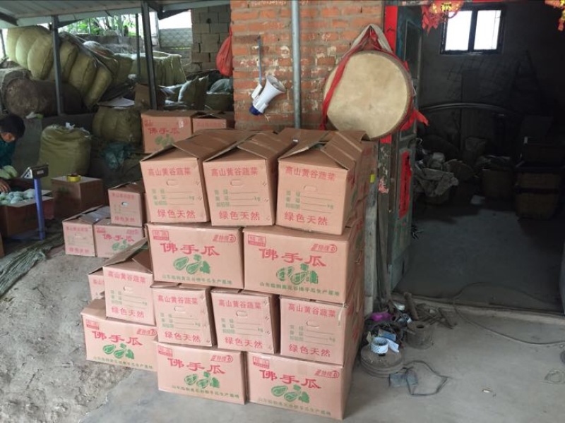佛手瓜，优质山东货源精品，网套加泡沫箱等