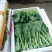 蔬菜