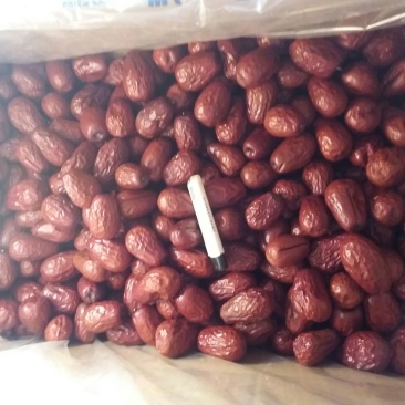 新疆红枣干枣二级