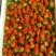美国甜查理草莓20克以上