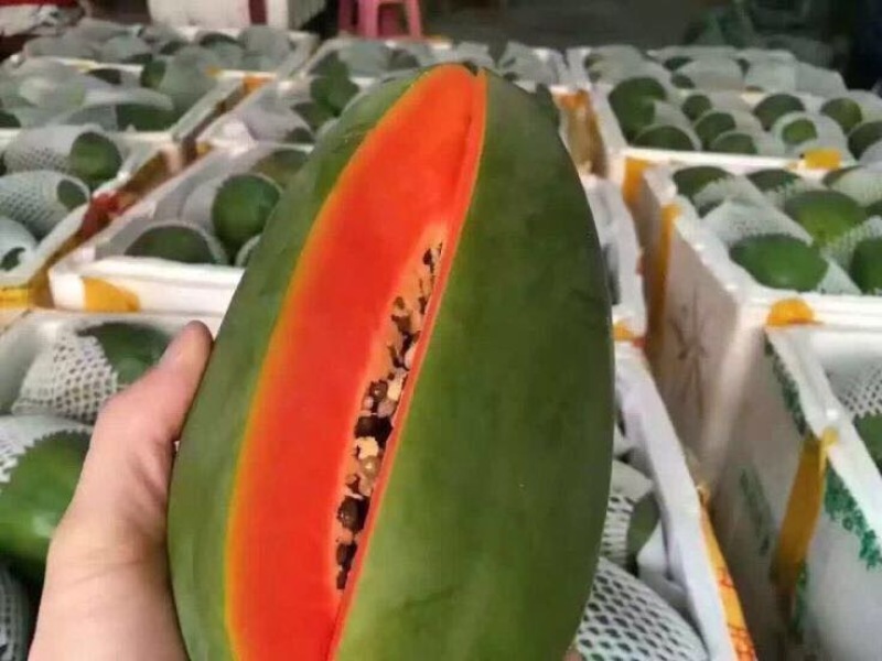 青木瓜
