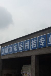 橘子湖北当阳市
