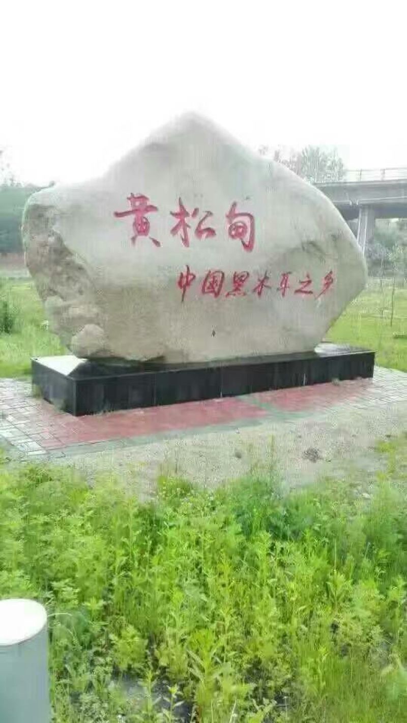 秋耳特级