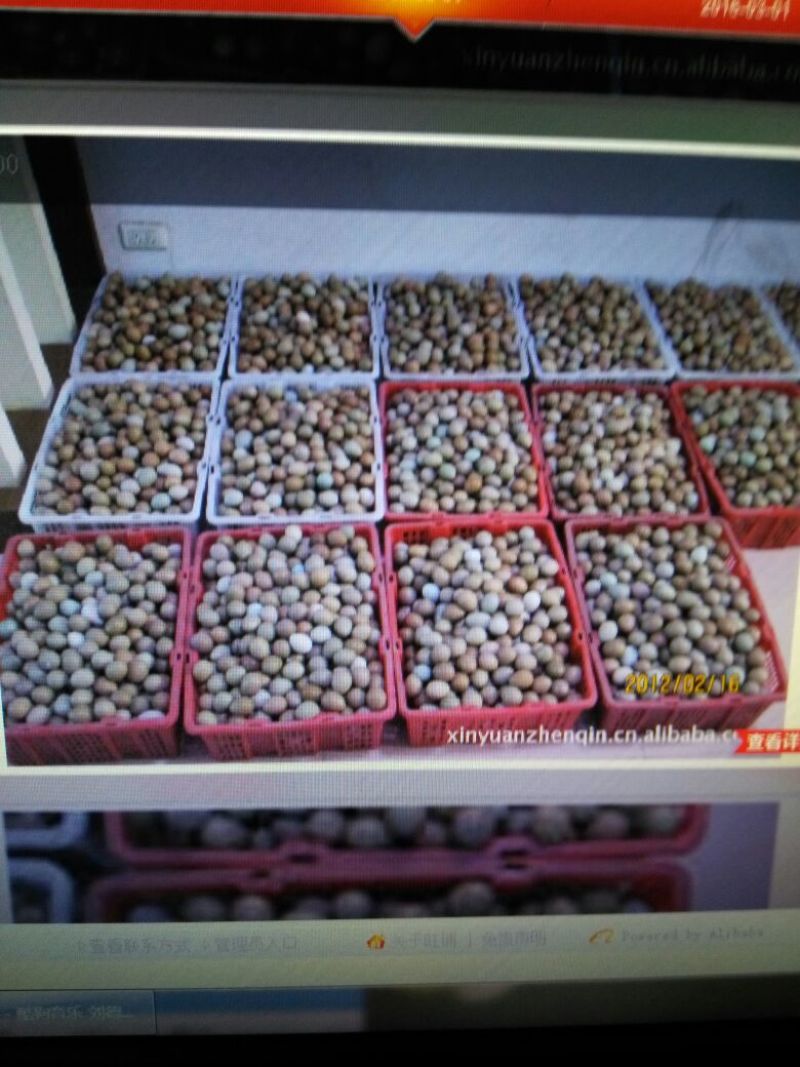 野鸡蛋食用40~50g