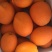 【精品】长虹脐橙皮薄肉多饱满多汁量大从优欢迎选购！