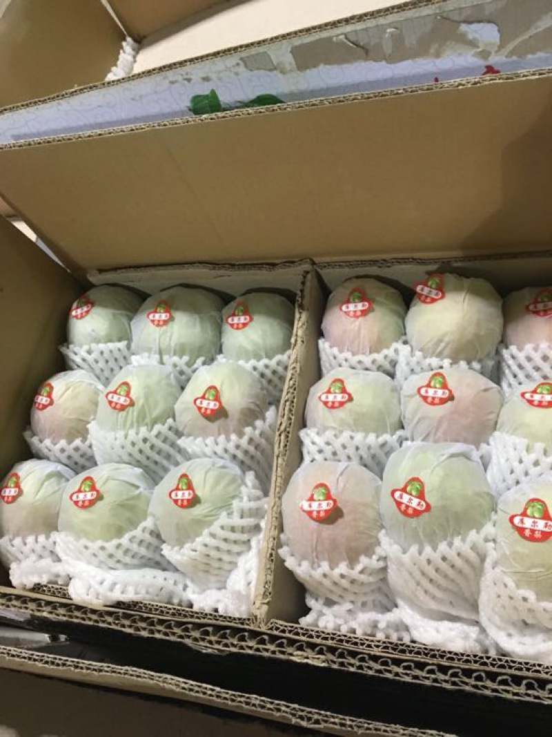 库尔勒香梨