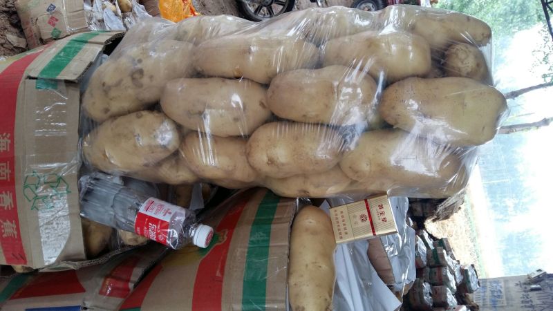 荷兰十五土豆3两以上通货