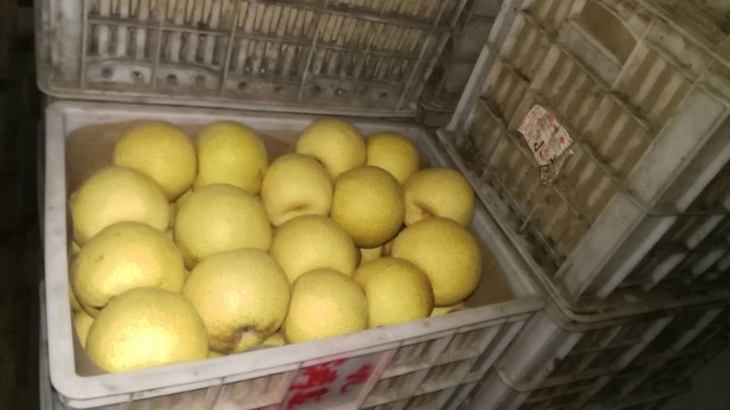 砀山梨250~300g纸箱