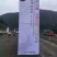仙居杨梅