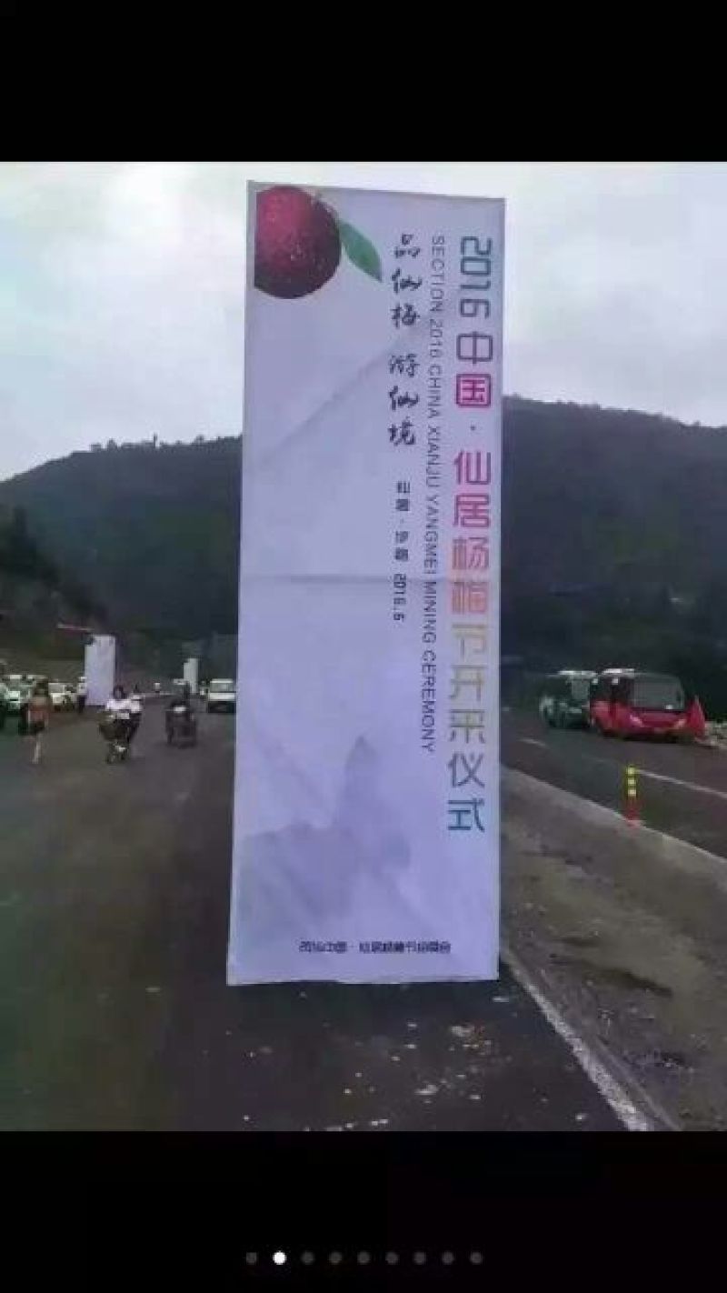 仙居杨梅