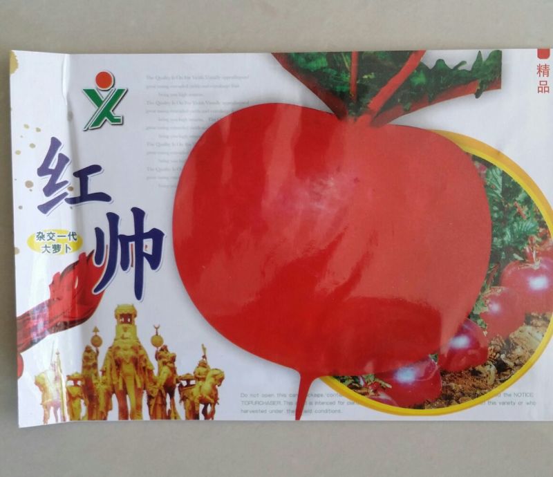 红皮萝卜2~2.5斤起