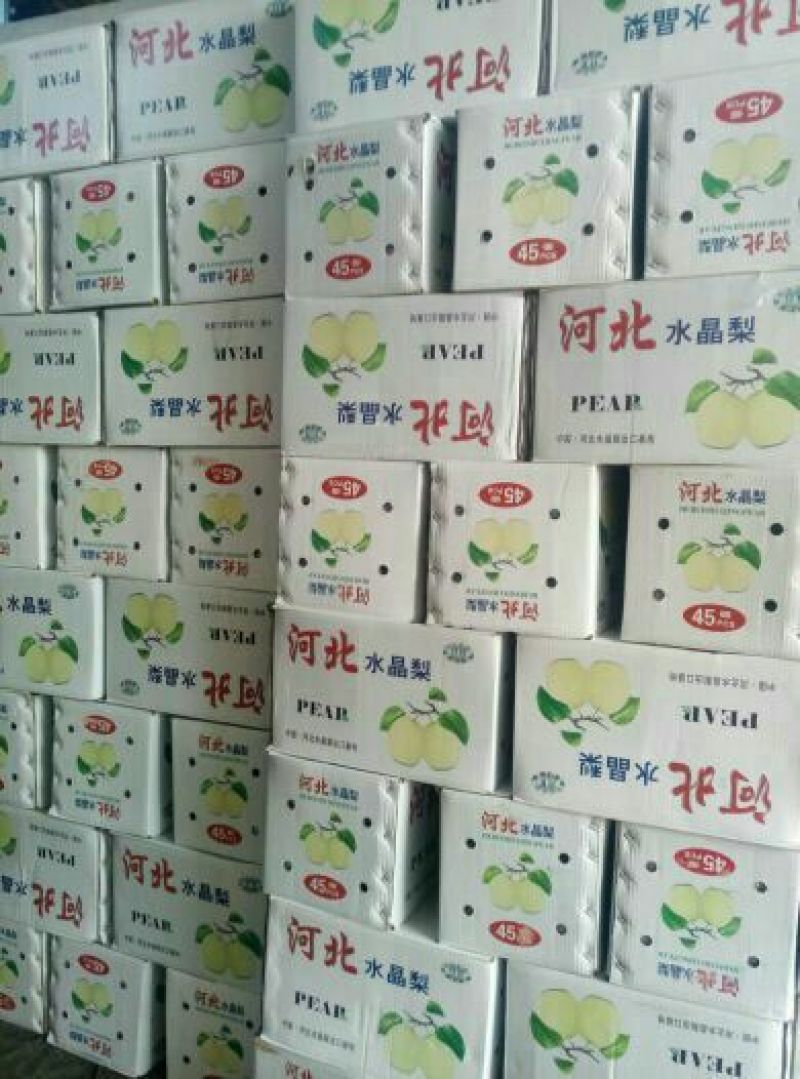 雪花梨400~450g纸箱