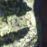 山东聊城，油绿西葫，珍玉35西葫芦0.6斤以上。