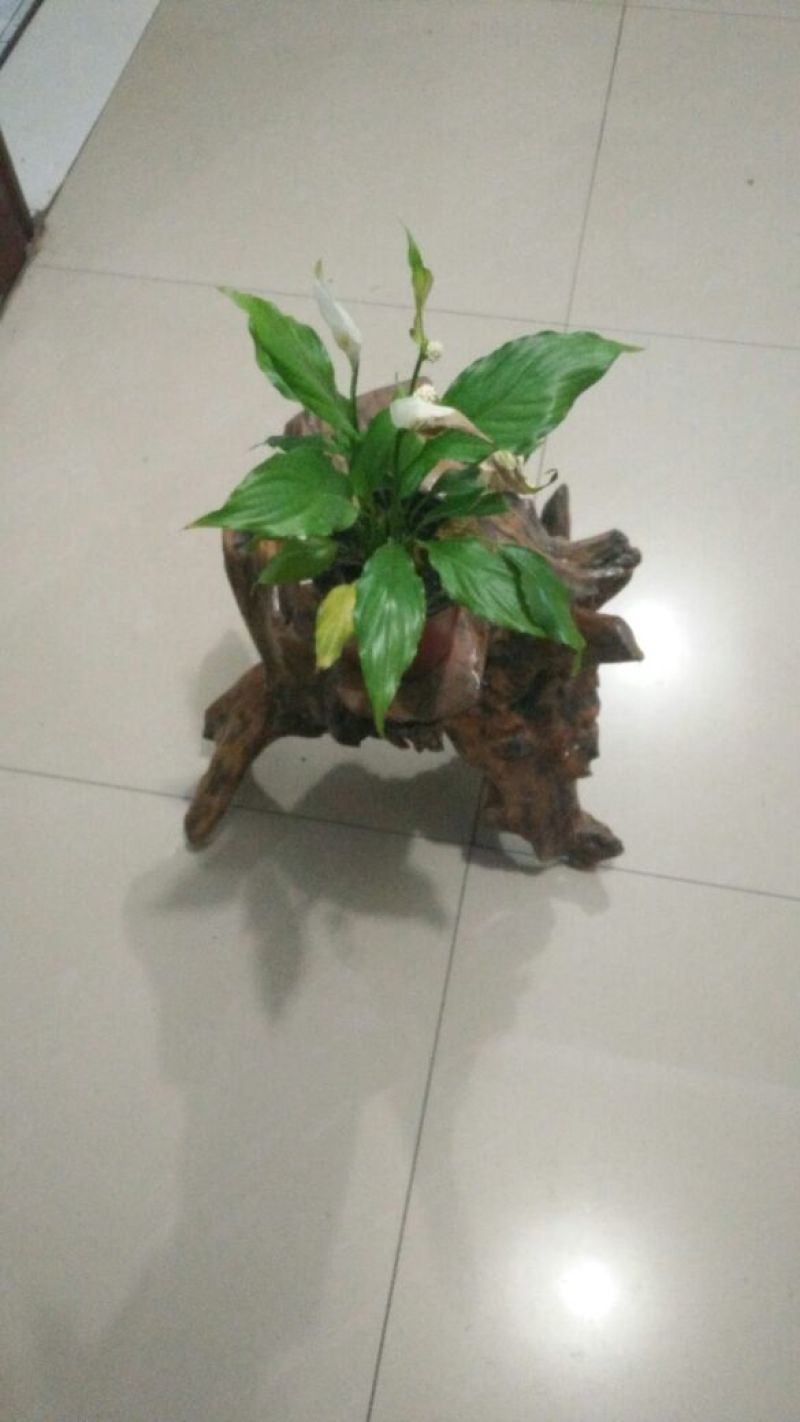 根雕茶几
