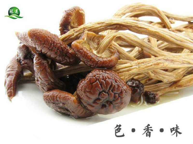 茶树菇8cm