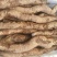 牛尾山药3~4厘米30~40厘米二级