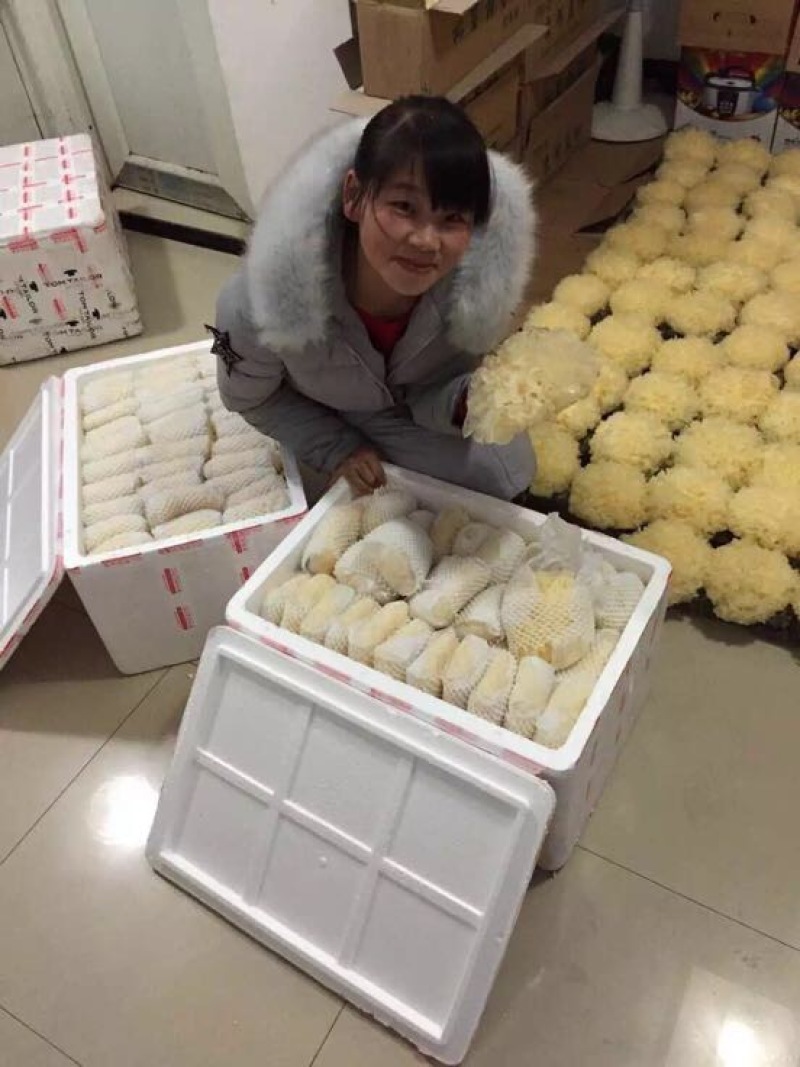 白木耳