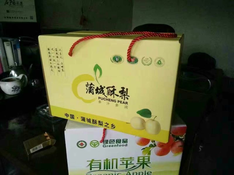 蒲城酥梨