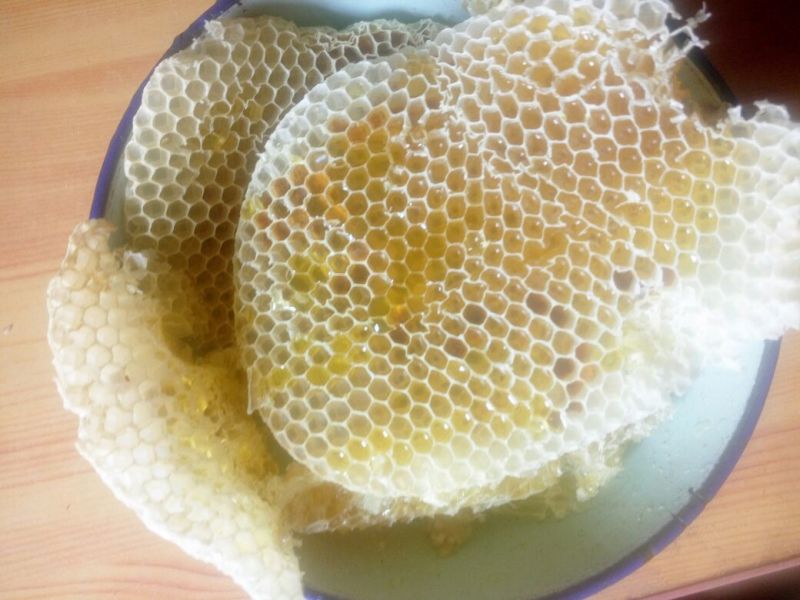 正宗土蜂蜜1斤