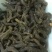 牛肉干黄牛肉冻库肉