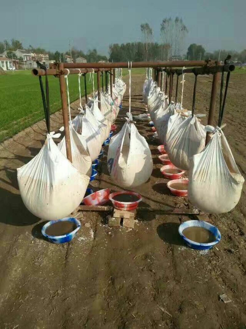 红薯粉面颗粒