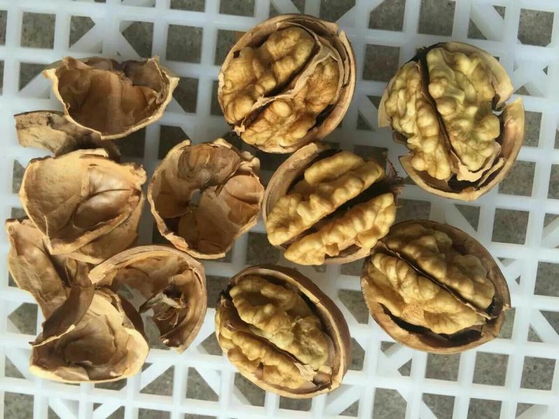 纸皮核桃30mm以上去皮