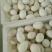 三花鹅苗250g以下