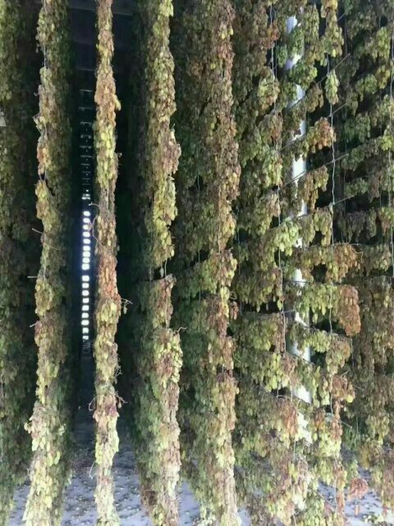 绿无核葡萄干无核一级