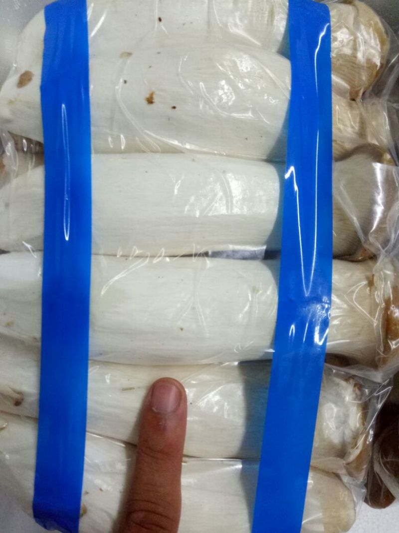 杏鲍菇特级