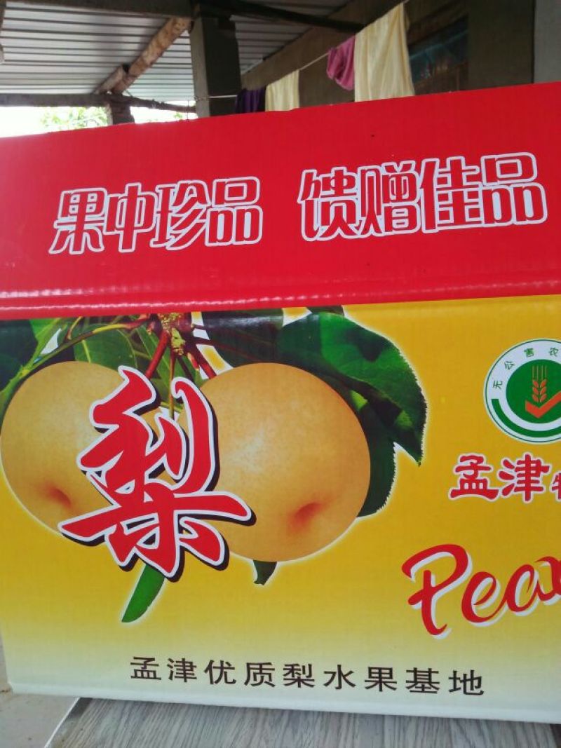 爱宕梨300~350g纸袋