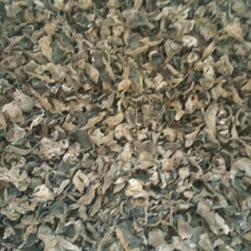 干木耳一级