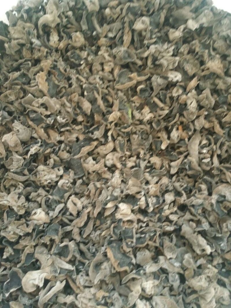干木耳一级