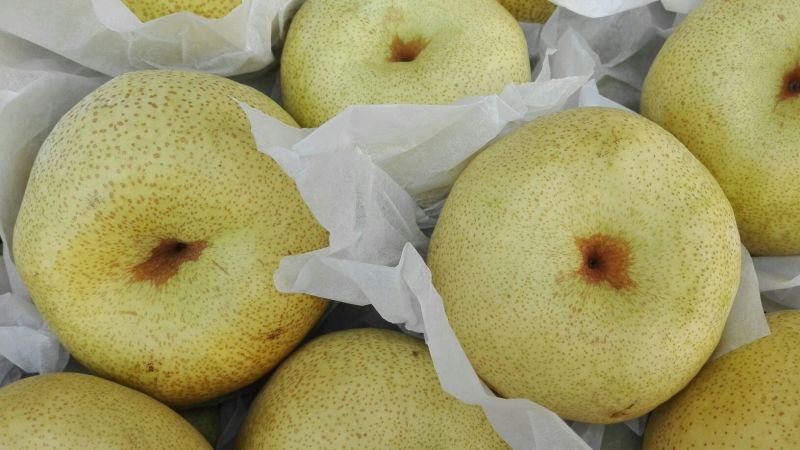 酥梨100~150g光果