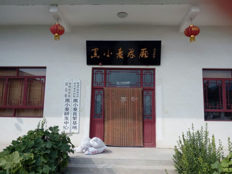 黑小麦面粉袋装