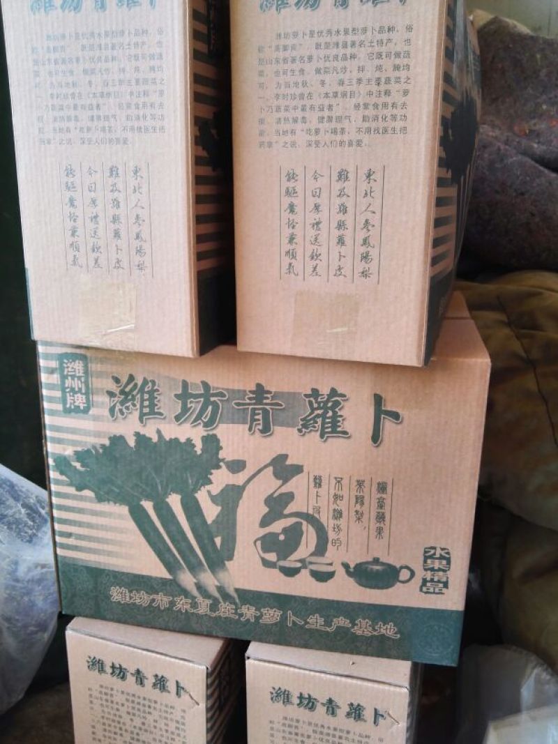 潍县萝卜1~1.5斤起