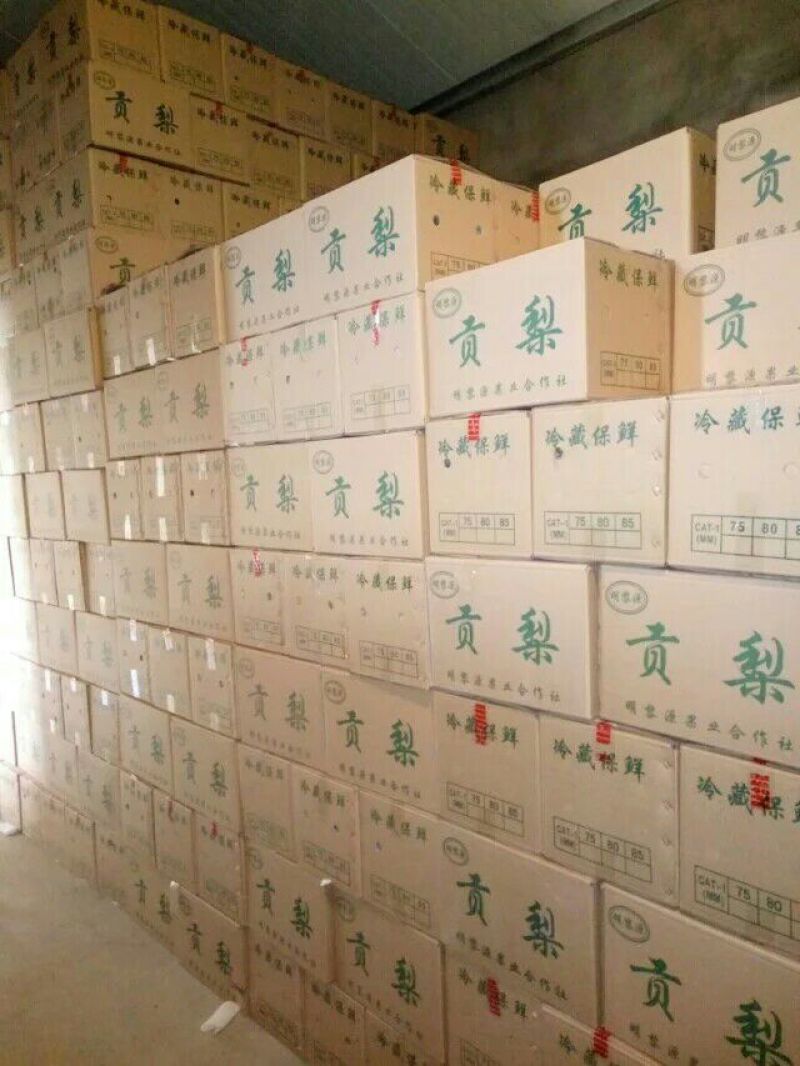 酥梨纸箱350~400g