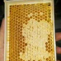 黑蜂蜂蜜1斤
