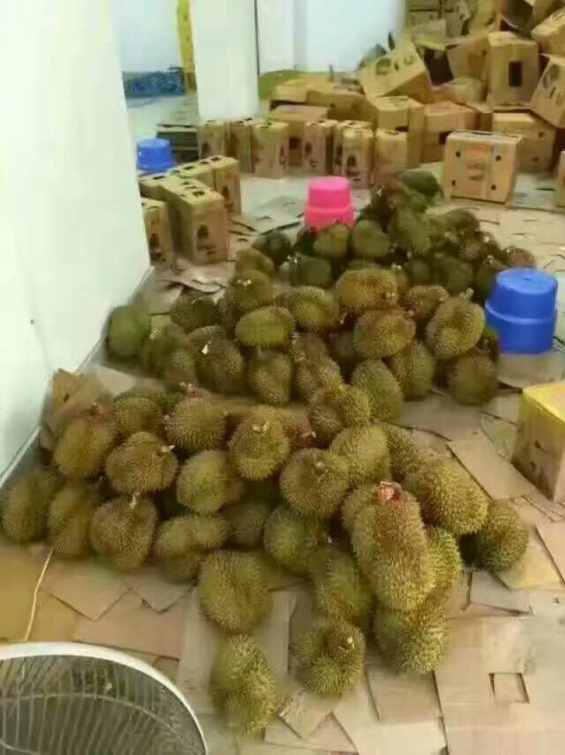 干荛榴莲5~8斤