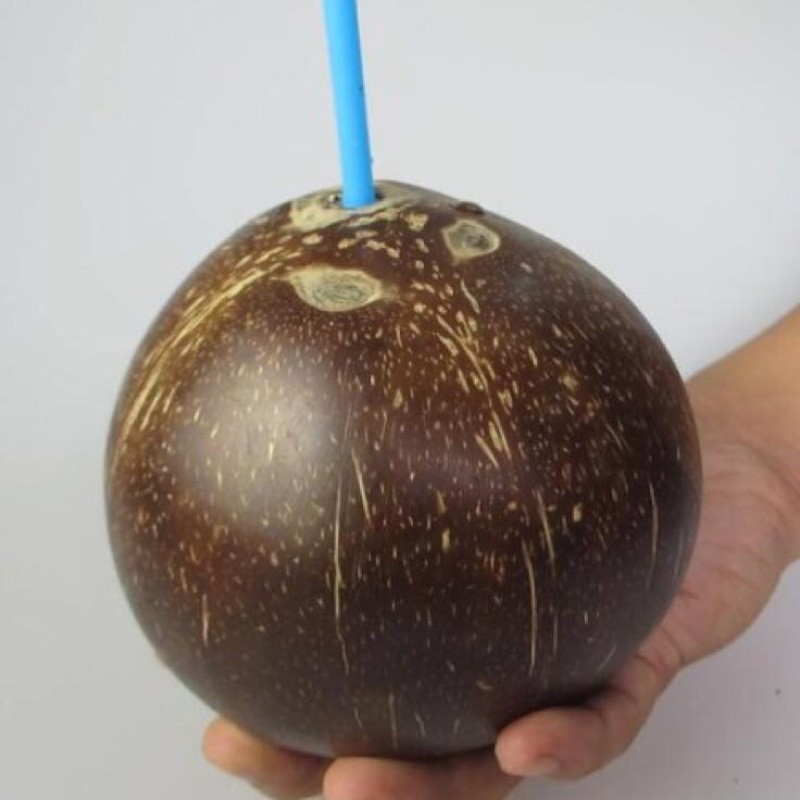 高种椰子
