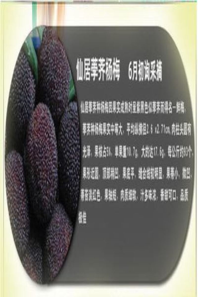 仙居杨梅3~4cm