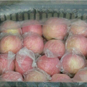 红富士苹果：蒲城红富士苹口感好，价格低。是款经济实惠佳品