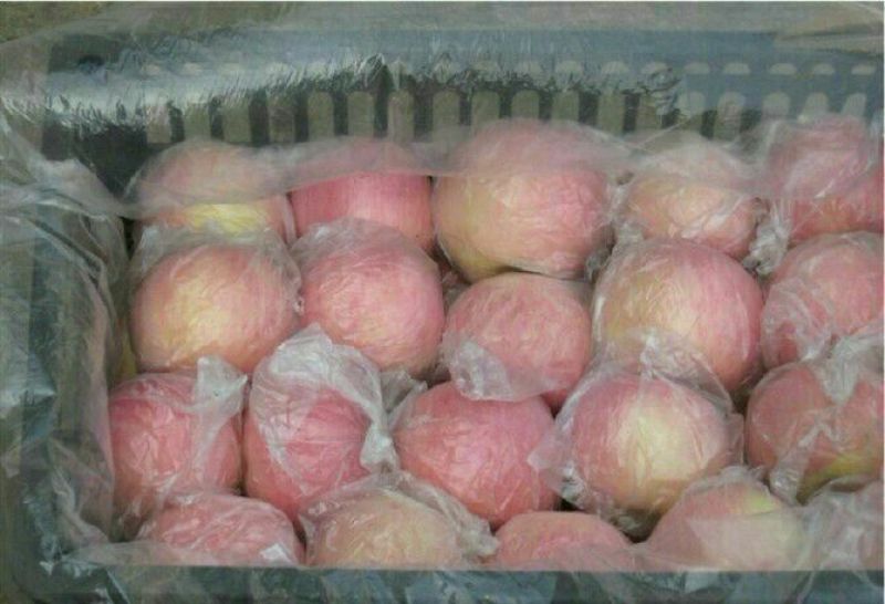 红富士苹果：蒲城红富士苹口感好，价格低。是款经济实惠佳品
