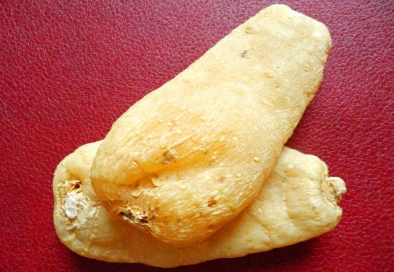 天麻野统