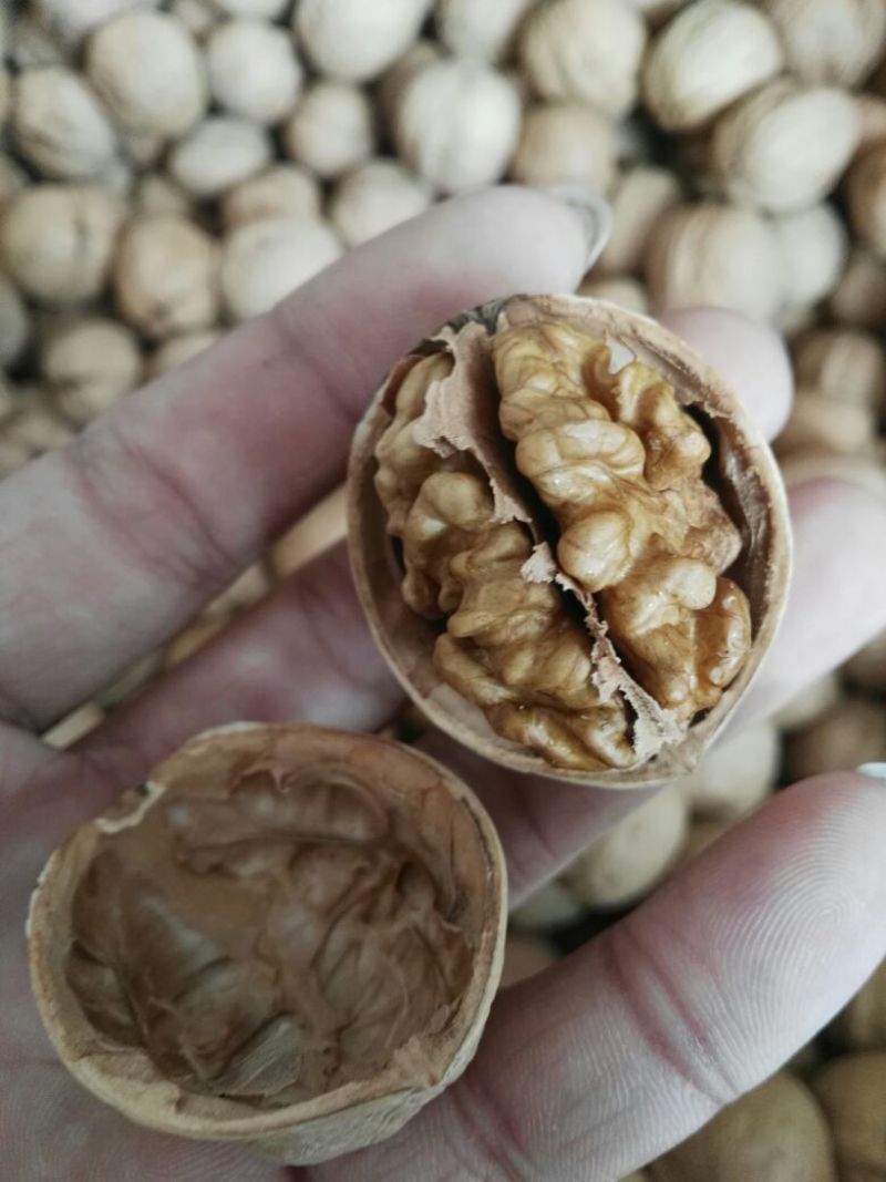 纸皮核桃去皮干