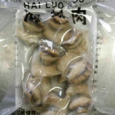 海螺食用冰冻5~10只/kg