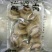 海螺食用冰冻5~10只/kg