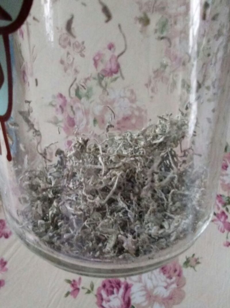 藤茶特级