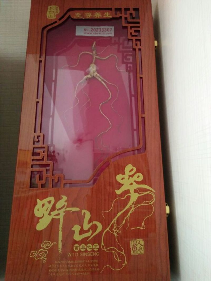 人参干